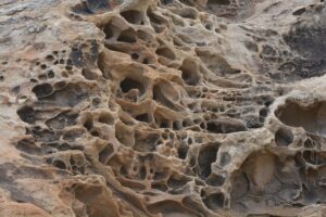 osteoporoza